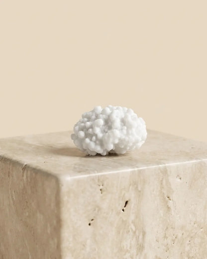 Sugared Coffee Bean