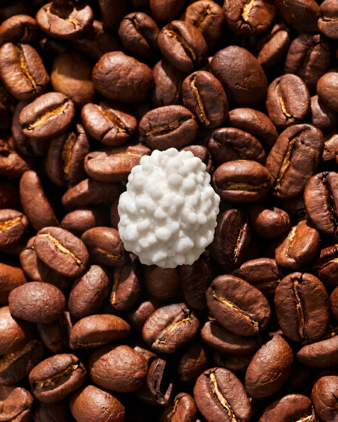 Sugared Coffee Bean