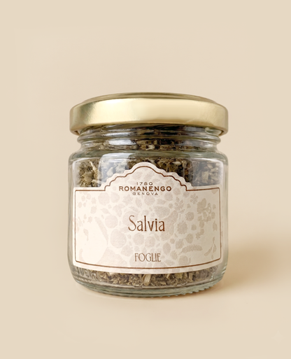 Salvia